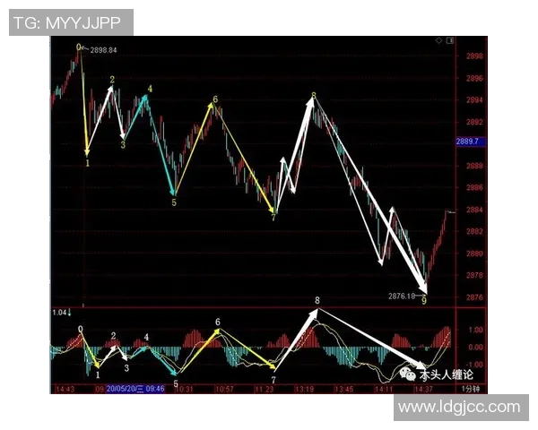 北京排球队包夹战术深度解析与实战应用探讨 北京排球队包夹战术深度解析与实战应用探讨