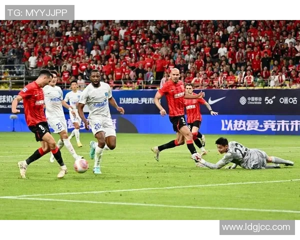 成都篮球队意识争议引发热议球迷与专家各执己见的背后故事