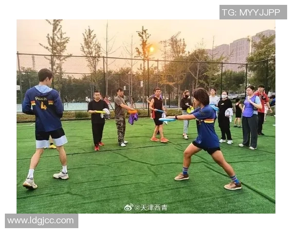 飞盘运动的魅力与挑战王磊分享个人成长与未来展望