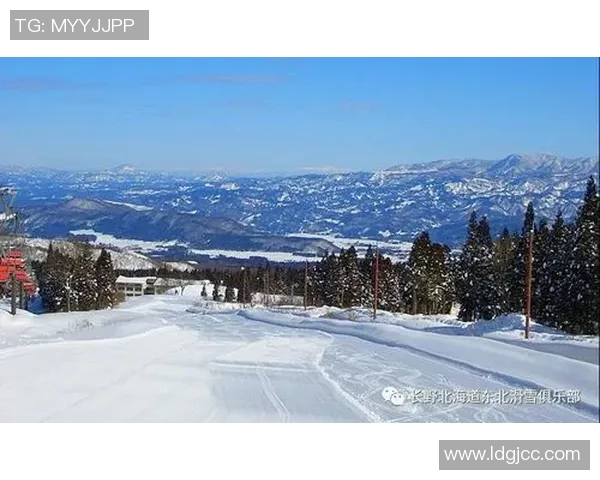 北海道勇士长野对决精彩纷呈赛季回顾与展望 北海道勇士长野对决精彩纷呈赛季回顾与展望