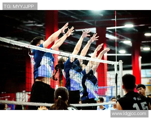 权威发布：全面解析排球比赛经验与实力的最新排行榜